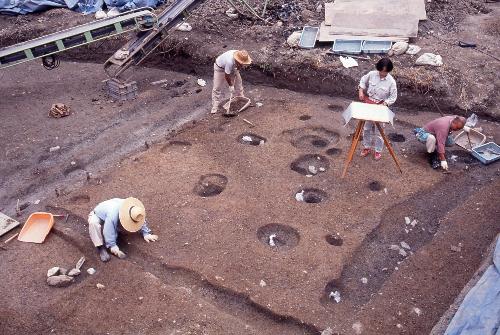 役場庁舎建設地の発掘調査の様子