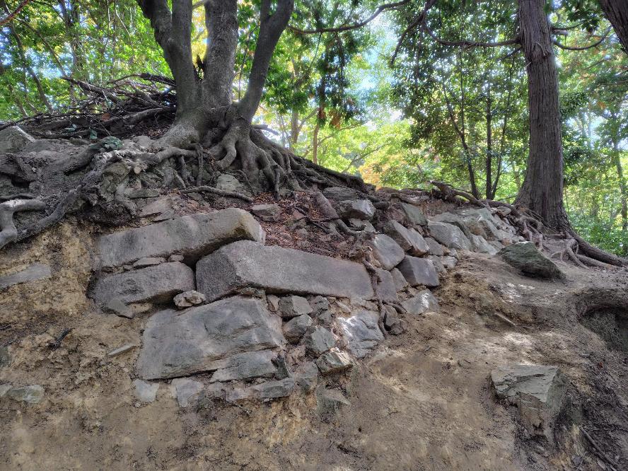 山崎城跡の石垣